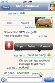 whatsapp来信息无声音,揭秘WhatsApp无声音信息的秘密