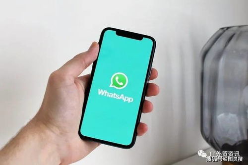 whatsapp接收验证码,揭秘接收验证码的神秘之旅