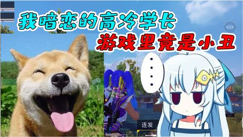 罗斯船长游戏 