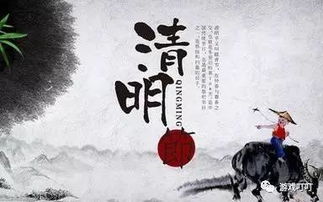 幸存者的黎明游戏官方版下载 