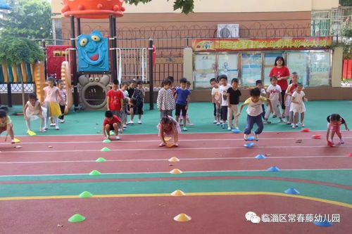 躺平发育游戏破解版无限金币 