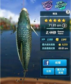 鲨鱼游戏交易 