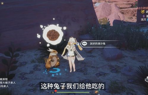 愤怒的兔子游戏 