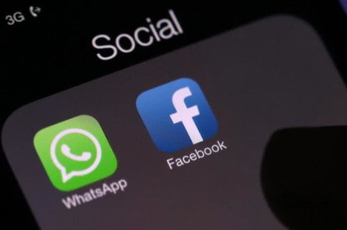 whatsapp俩对号,WhatsApp双号使用体验揭秘