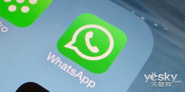 whatsapp语音听不见,解