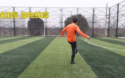 反弹传球最新版 