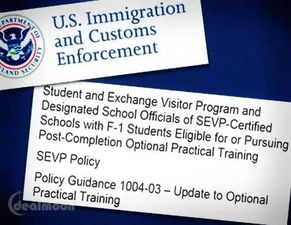 toptop官网版下载 