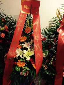 最强弹一弹小游戏 