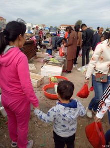 田园大丰收游戏下载 