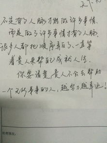 真恶狼传说游戏 