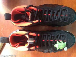 宠物肥皂泡游戏免广告下载官方版最新版 