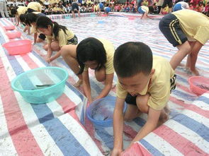 动物超市游戏下载 