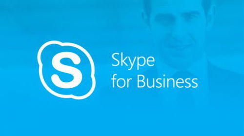 skype跳过应用商城,轻松安装个性化插件