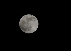 月亮播放器官网版下载 