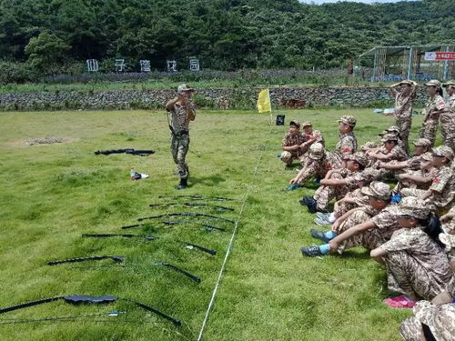 瞄准射箭游戏官方版最新版下载 