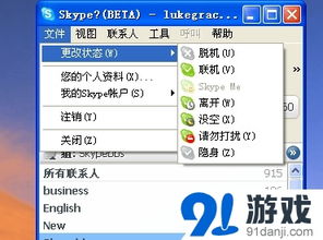 skype两大功能,两大核心功能引领现代通讯潮流