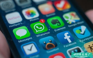 whatsapp时尚,沟通新境界