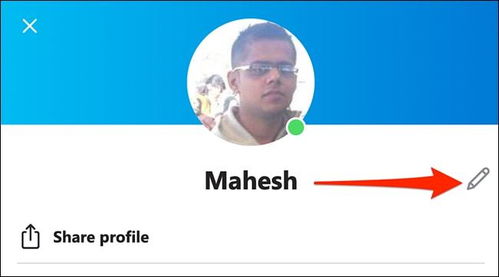 skype输入你的姓名,Skype见证我的姓名之旅