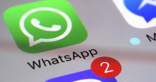 whatsapp谁看了自己,揭秘隐私背后的秘密