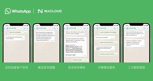 whatsapp生意,揭秘社交平台上的商业新机遇
