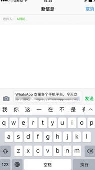 whatsapp添加越南好友,WhatsApp助力越南好友新结识
