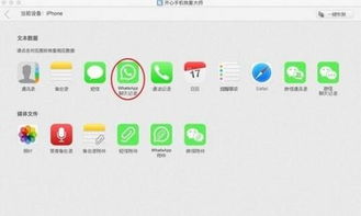 whatsapp消息怎么复原,揭秘构建概述文章的巧妙技巧