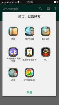 whatsapp如何跟老外聊天,WhatsApp上与老外畅聊指南