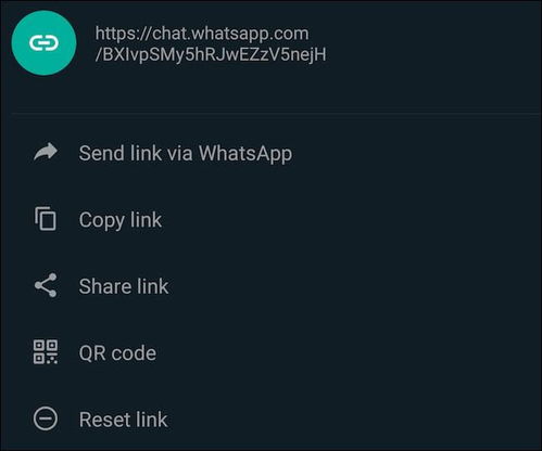 whatsapp的链接,功能解析与使用技巧一览