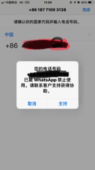 whatsapp为什么禁用,隐私保护与安全考量