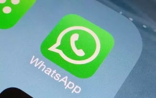 whatsapp 外国人号,如何获取外国人的联系方式并建立跨国友谊