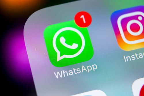 whatsapp手机号登录不了,手机号登录难题解析与解决策略
