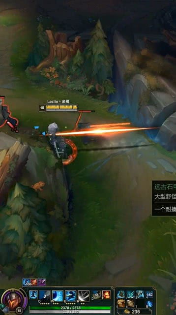 极限的伤害输出者 