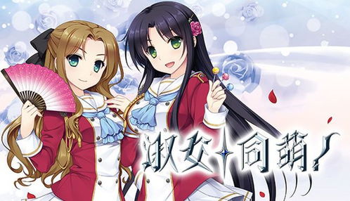 窈窕淑女官方版 