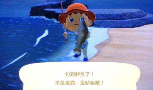 泡泡大作战游戏手机游戏 