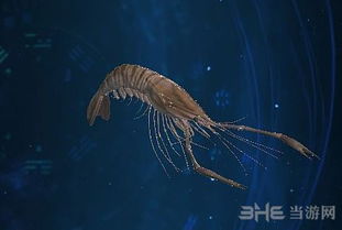 泡泡大作战游戏手机游戏 