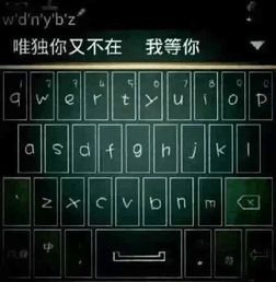 虚拟游戏键盘汉化版 