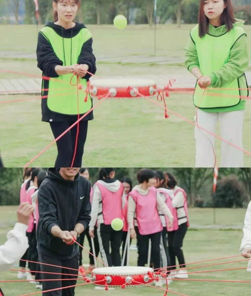 智慧团建软件官方下载 