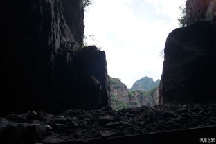 玉米仔保家园游戏 