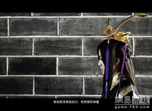 亮剑游戏手机版 